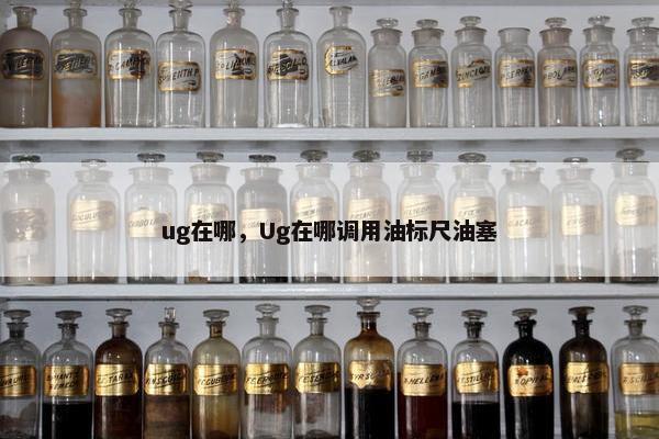 ug在哪，Ug在哪调用油标尺油塞