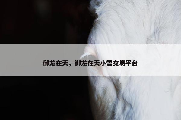 御龙在天，御龙在天小雪交易平台