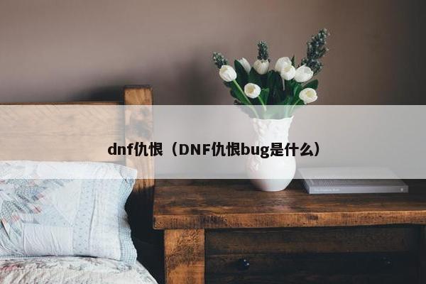 dnf仇恨（DNF仇恨bug是什么）