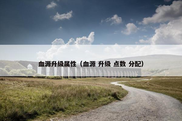 血源升级属性（血源 升级 点数 分配）