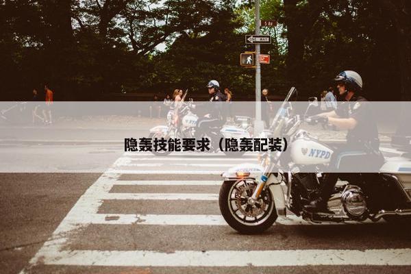 隐轰技能要求（隐轰配装）