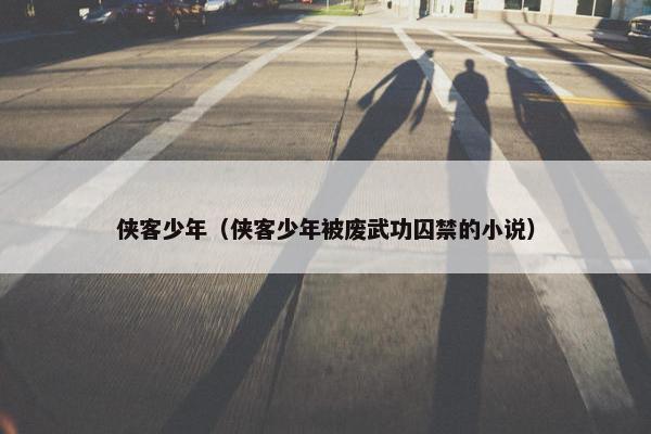 侠客少年（侠客少年被废武功囚禁的小说）