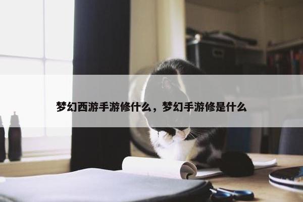 梦幻西游手游修什么，梦幻手游修是什么