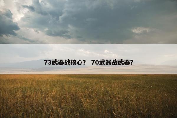 73武器战核心？ 70武器战武器？