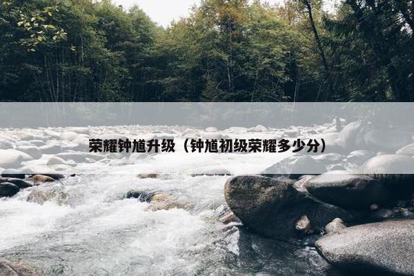荣耀钟馗升级（钟馗初级荣耀多少分）