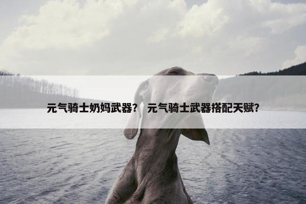 元气骑士奶妈武器？ 元气骑士武器搭配天赋？