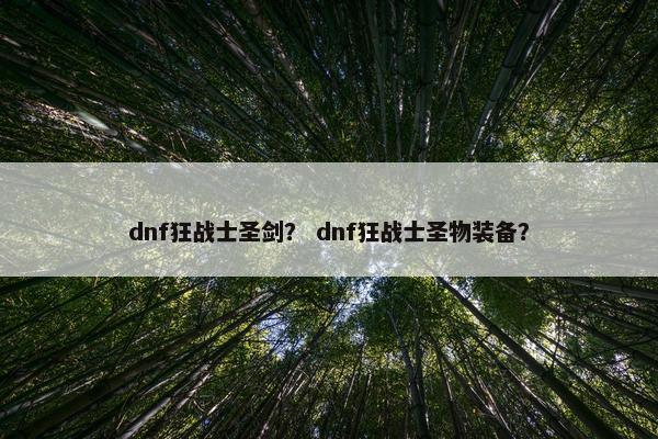 dnf狂战士圣剑？ dnf狂战士圣物装备？