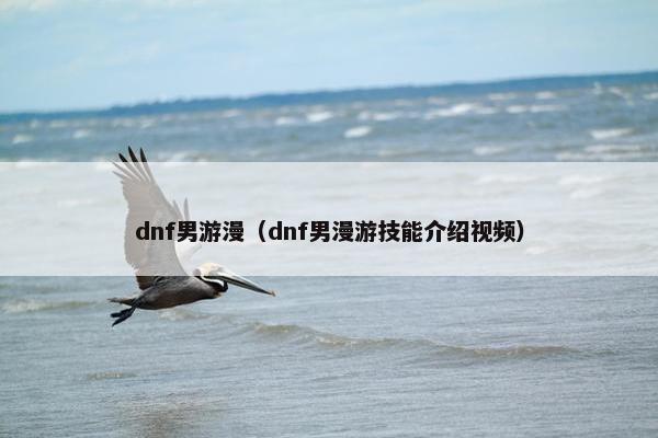 dnf男游漫（dnf男漫游技能介绍视频）