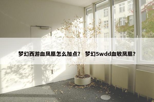 梦幻西游血凤凰怎么加点？ 梦幻5wdd血敏凤凰？