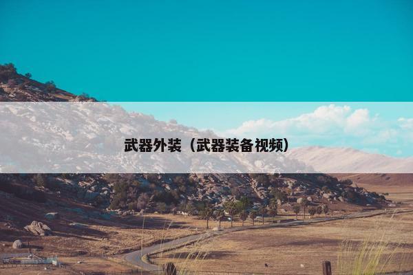 武器外装（武器装备视频）