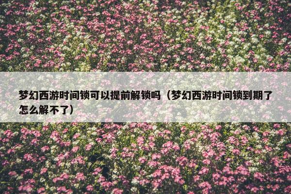 梦幻西游时间锁可以提前解锁吗（梦幻西游时间锁到期了怎么解不了）