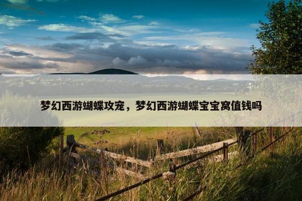 梦幻西游蝴蝶攻宠，梦幻西游蝴蝶宝宝窝值钱吗