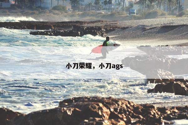小刀荣耀，小刀ags