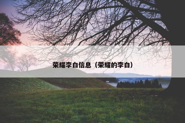 荣耀李白信息（荣耀的李白）