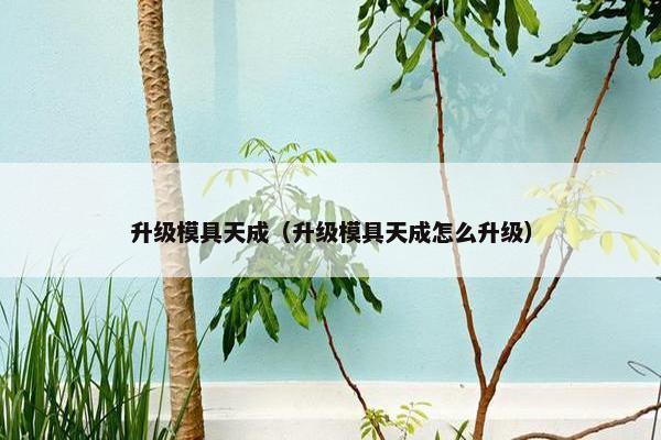 升级模具天成（升级模具天成怎么升级）