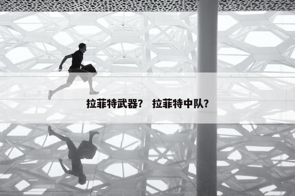 拉菲特武器？ 拉菲特中队？