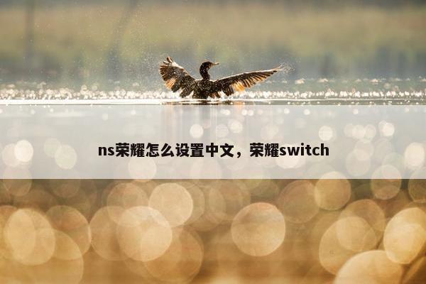 ns荣耀怎么设置中文，荣耀switch