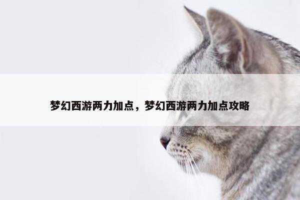 梦幻西游两力加点，梦幻西游两力加点攻略