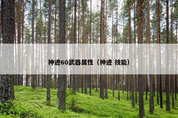 神迹60武器属性（神迹 技能）