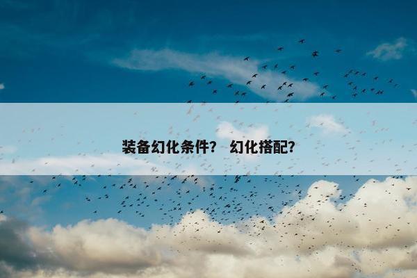 装备幻化条件？ 幻化搭配？