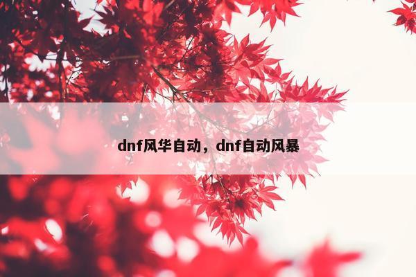 dnf风华自动，dnf自动风暴