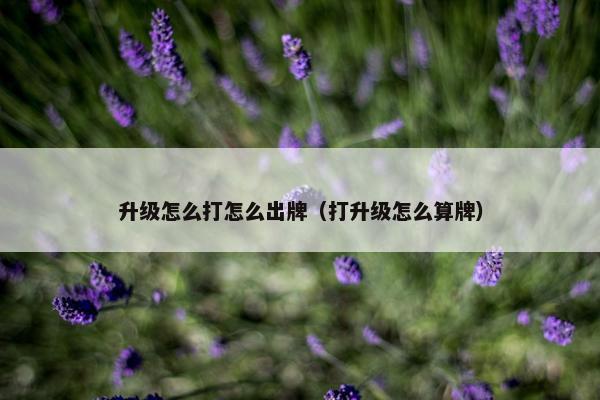 升级怎么打怎么出牌（打升级怎么算牌）