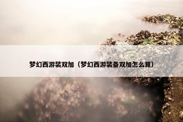 梦幻西游装双加（梦幻西游装备双加怎么算）