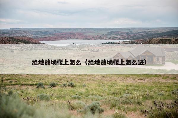 绝地战场楼上怎么（绝地战场楼上怎么进）