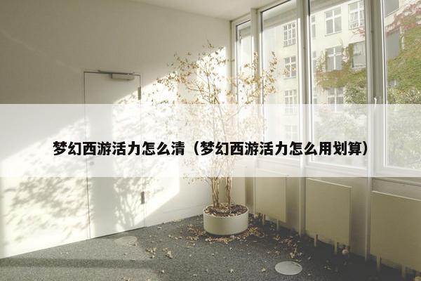 梦幻西游活力怎么清（梦幻西游活力怎么用划算）