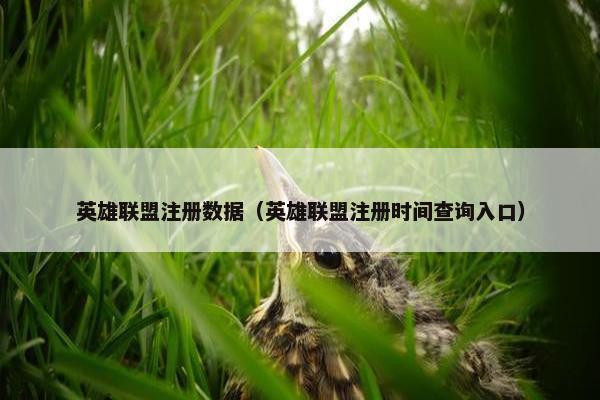 英雄联盟注册数据（英雄联盟注册时间查询入口）