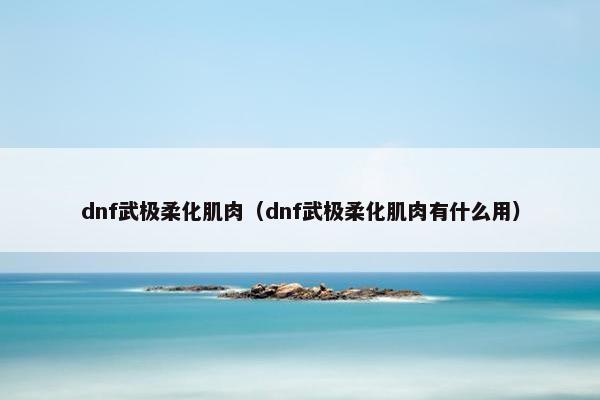 dnf武极柔化肌肉（dnf武极柔化肌肉有什么用）