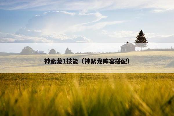 神紫龙1技能（神紫龙阵容搭配）