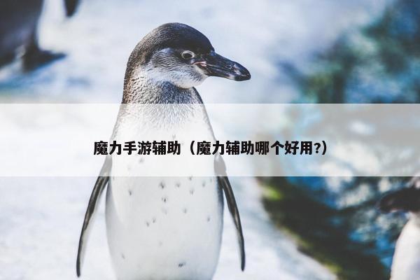魔力手游辅助（魔力辅助哪个好用?）