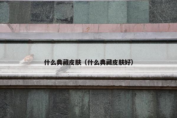 什么典藏皮肤（什么典藏皮肤好）