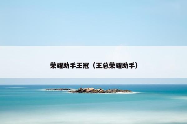 荣耀助手王冠（王总荣耀助手）