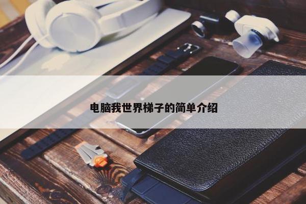 电脑我世界梯子的简单介绍