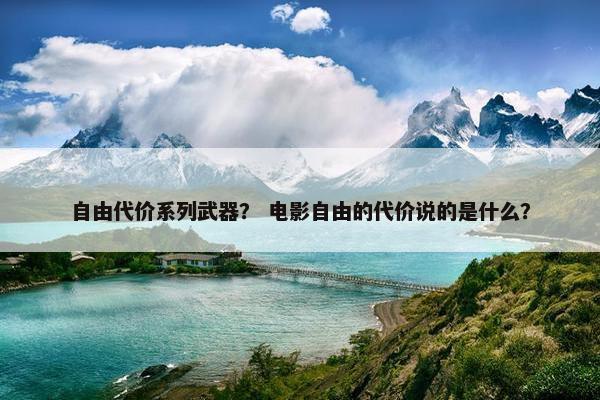 自由代价系列武器？ 电影自由的代价说的是什么？