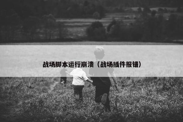 战场脚本运行崩溃（战场插件报错）