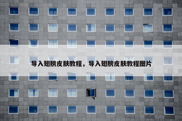 导入翅膀皮肤教程，导入翅膀皮肤教程图片