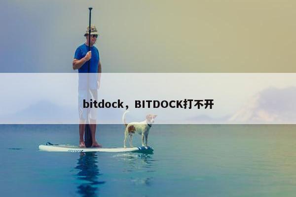 bitdock，BITDOCK打不开
