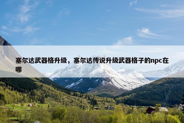 塞尔达武器格升级，塞尔达传说升级武器格子的npc在哪