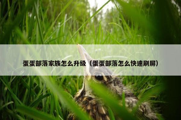 蛋蛋部落家族怎么升级（蛋蛋部落怎么快速刷屏）