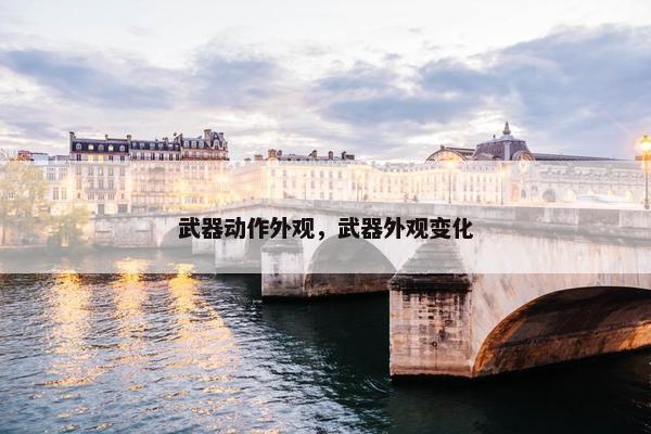 武器动作外观，武器外观变化