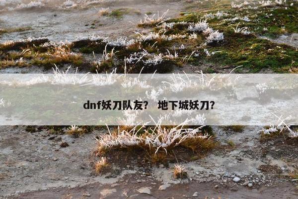 dnf妖刀队友？ 地下城妖刀？