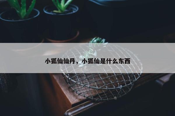 小狐仙仙丹，小狐仙是什么东西