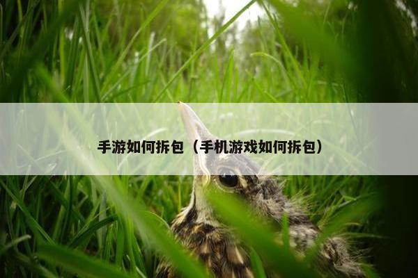 手游如何拆包（手机游戏如何拆包）