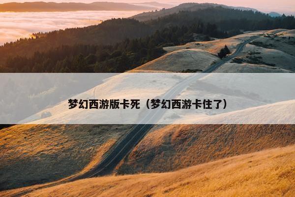 梦幻西游版卡死（梦幻西游卡住了）