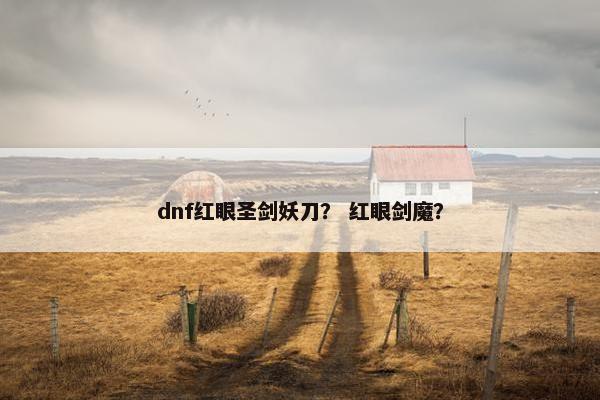 dnf红眼圣剑妖刀？ 红眼剑魔？