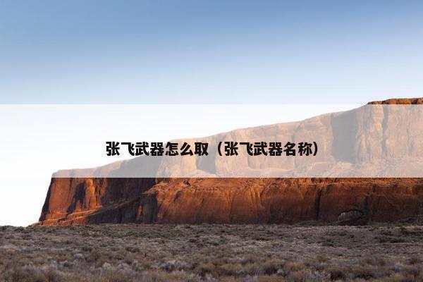 张飞武器怎么取（张飞武器名称）