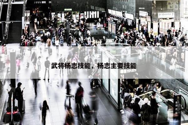 武将杨志技能，杨志主要技能